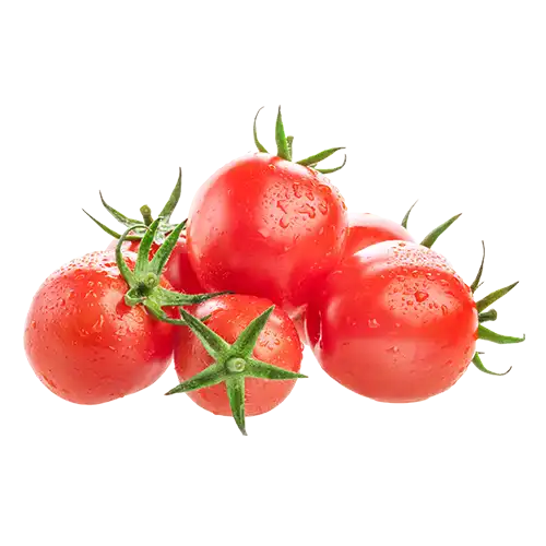 Tomato