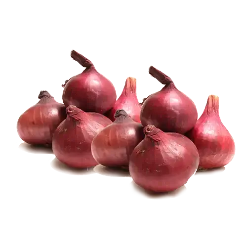 Buy Rite Fresh Onion